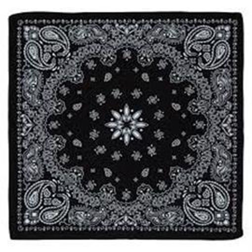 Picture of BANDANA