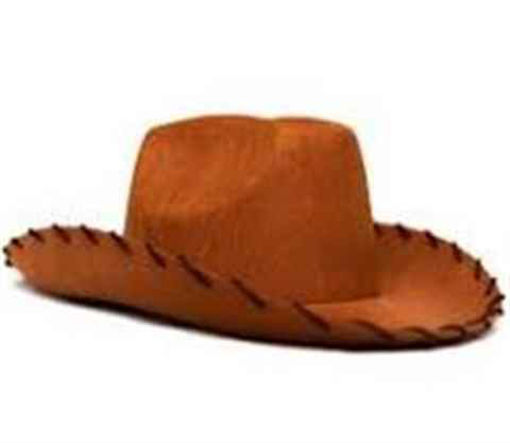 Picture of COWBOY HATS WOOD