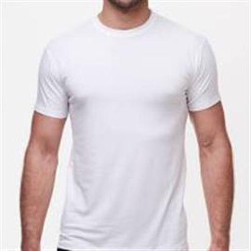 Picture of T SHIRT WHITE