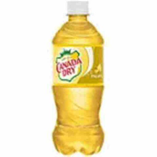 Picture of CANADA DRY PINEAPPLE 20OZ 24CT