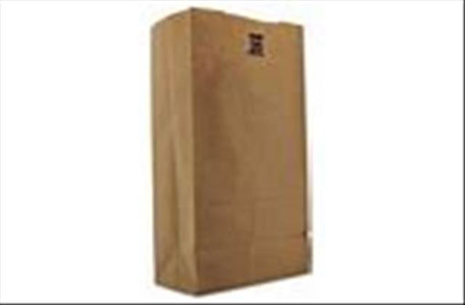 Picture of FM BROWN PAPER BAG NO1 - 500CT